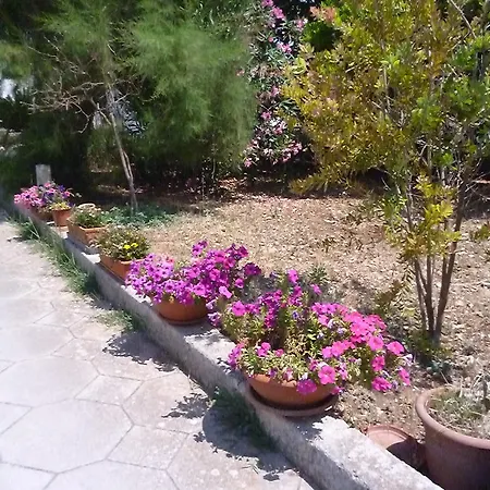 La Zavirna